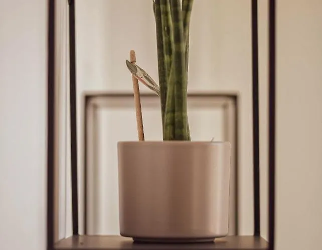 Loft شقة إيزيناخ